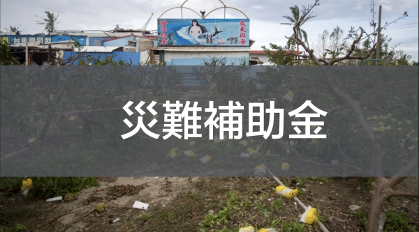 颱風災難補助金